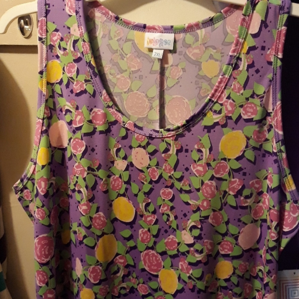 Lularoe 2x Dani Dress (full length)
